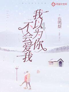 九张羊皮纸